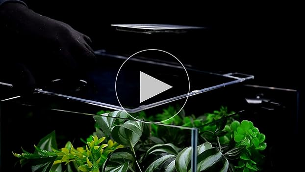 Aquatop Venti Professional Showcase Aquarium Kit - 1.6 Gallon Glass Desktop Fish Tank with LED Light & Filter