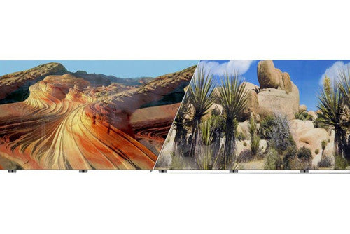 Blue Ribbon Vibran-Sea Aquarium Background - 12 in x 50 ft - Desert Sand/Cactus Double-Sided Waterproof Decor
