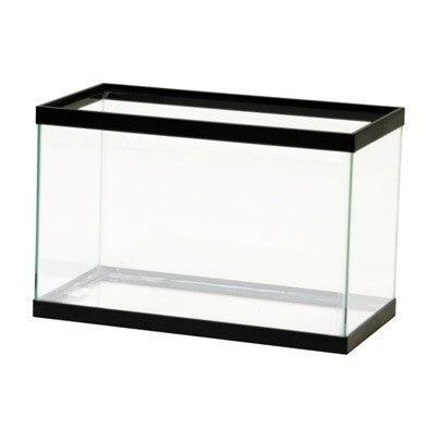 Aqueon 5.5 Gallon Aquarium - Black Trim, Standard Rectangle Glass Tank, 16x8x10