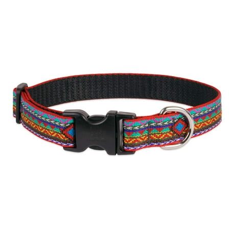 Lupine Dog Collar 1" Wide El Paso Design, Adjustable 12-20"