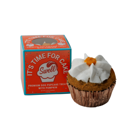Swell Gelato Pumpkin Pupcake Frozen Dog Treat - 2.5 oz Single Serve