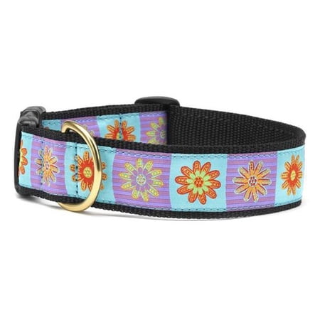 Up Country LOLW6 Lola Pet Collar - 2XL - 1.5 in. Wide