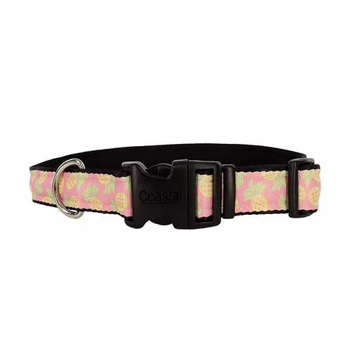 Coastal Styles Dog Collar Pineapple 5/8 Inch