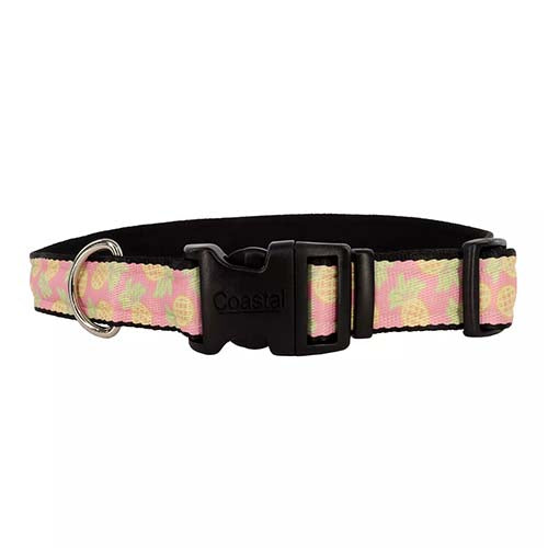 Coastal Styles Dog Collar - Pineapples - Large - 1" x 18"-26"
