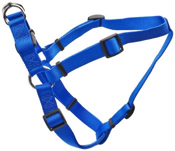 Coastal Standard Adjustable Nylon Harness - Blue - 26-38 inch