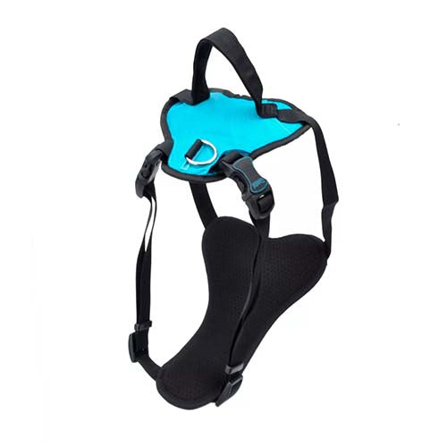 Coastal Inspire Dog Harness - Aqua - 5/8" x 16"-24"