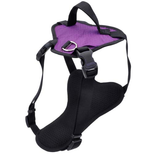 Coastal Pet Inspire Dog Harness, Purple, 5/8" x 16-24" Adjustable