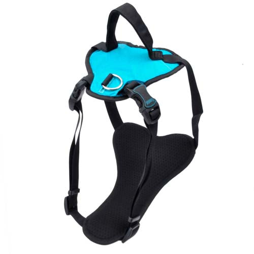 Coastal Inspire Dog Harness - Aqua - 5/8" x 20-30" - Medium, Adjustable Neoprene