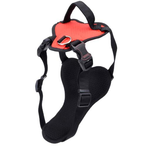 Inspire Dog Harness - Red, 1" x 26-38" - Adjustable with Plush Pad