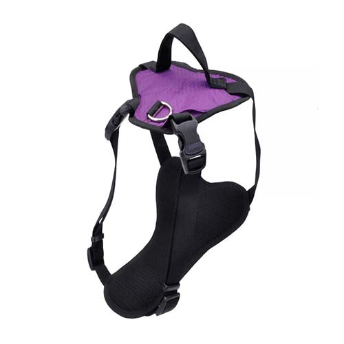 Coastal Inspire Dog Harness - Purple - 1" x 30"-43" - XLarge