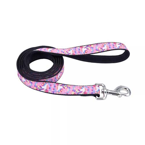 Coastal Styles Dog Leash - Unicorns - 1 in x 6 ft