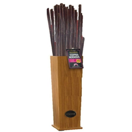 Etta Says! Esophanormous Stuffed Bully Stick Dog Chew - Pork Flavor, 30-36 inch Long-Lasting Treat