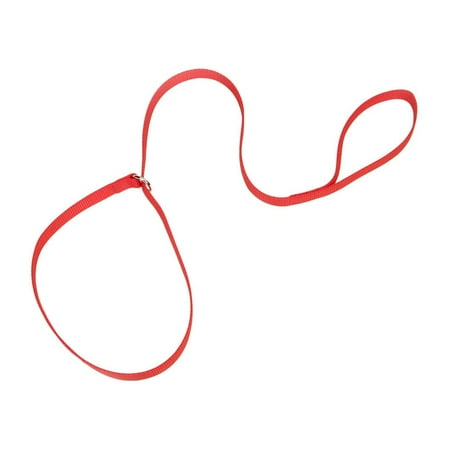 Kennel Lead 4ft Red - Cascade Pet Supply