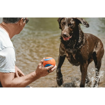Chuckit! Ultra Ball Dog Toy - Extra Large - Durable Rubber Fetch Ball