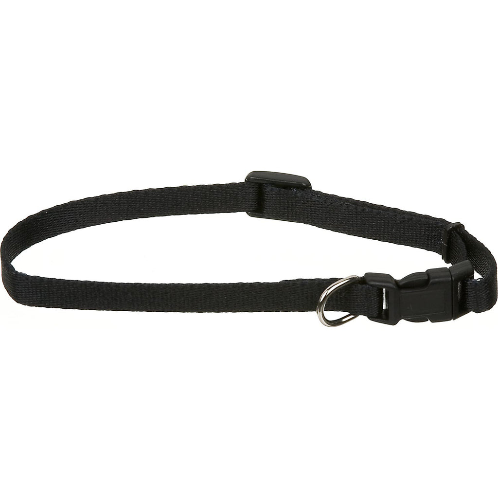 COASTAL - Lil Pals Nylon Adjustable Dog Collar X-Small Bl...