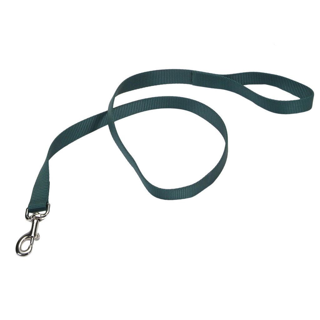 Coastal Nylon Dog Leash 3/4 x 6 ft Training Lead
