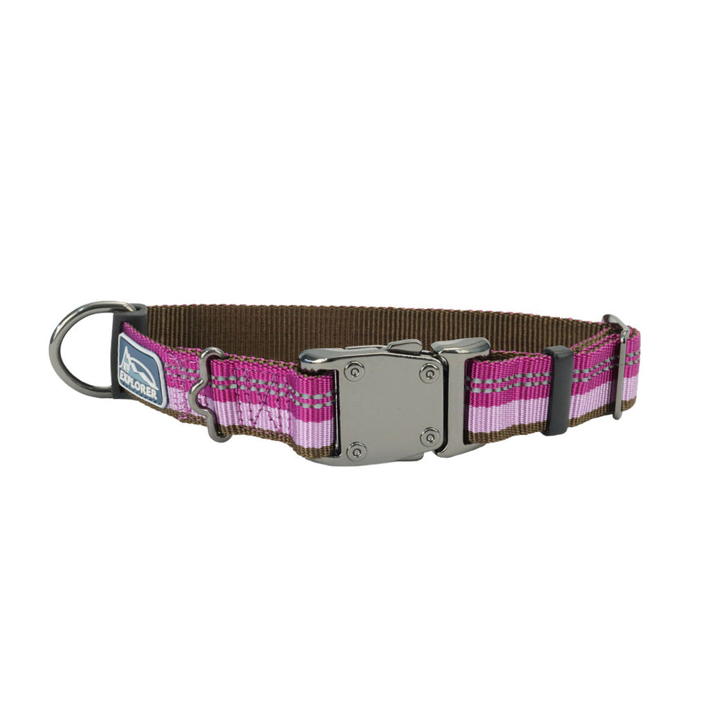 Coastal Pet K9 Explorer Reflective Dog Collar, Adjustable 8-12", 5/8" Width