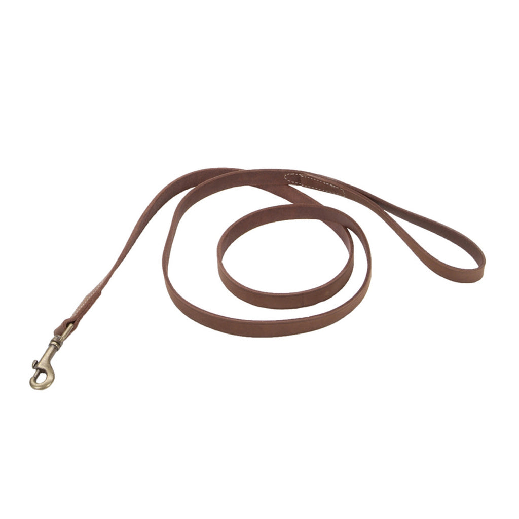 Coastal Circle T Rustic Leather Dog Leash - Chocolate Brown - 3/8" x 6'