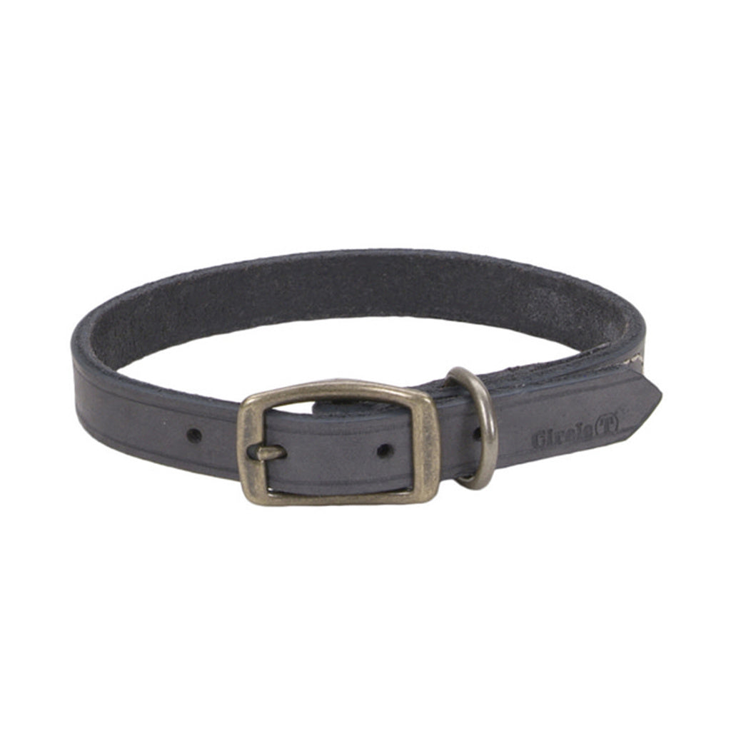 Coastal Pet Circle T Rustic Leather Town Dog Collar Slate Gray 1" x 18"