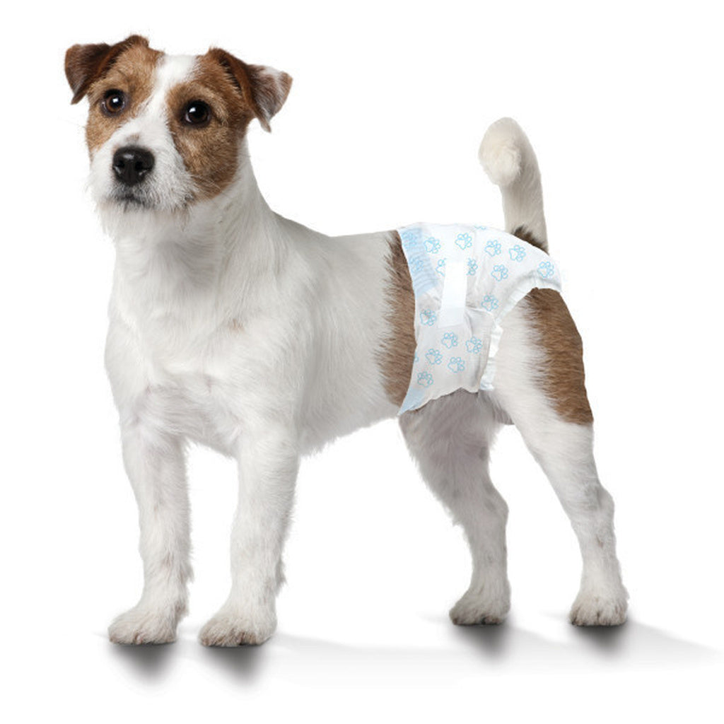 Four Paws Wee-Wee Disposable Dog Diapers - Small, 12 Count