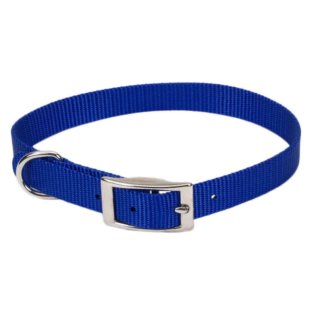 Coastal Single-Ply Nylon Dog Collar - Blue - 5/8" x 14" - Small