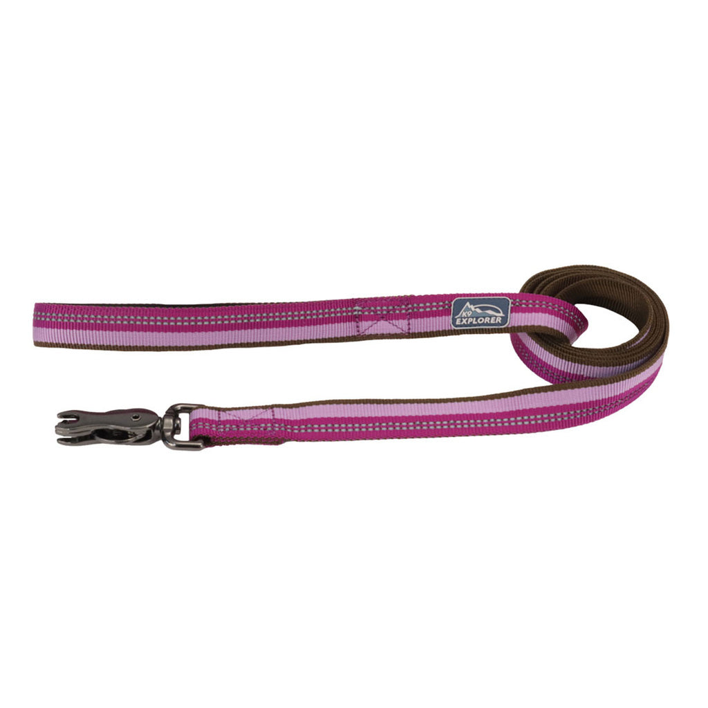 Coastal K9 Explorer Reflective Dog Leash, 1 inch x 6 ft, Scissor Snap, Goldenrod
