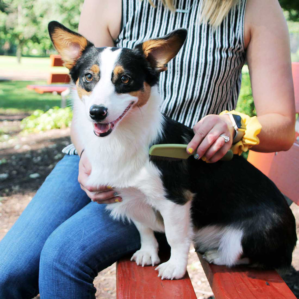Safari Medium Dog Comb with Rotating Teeth – Cascade Pet Supply