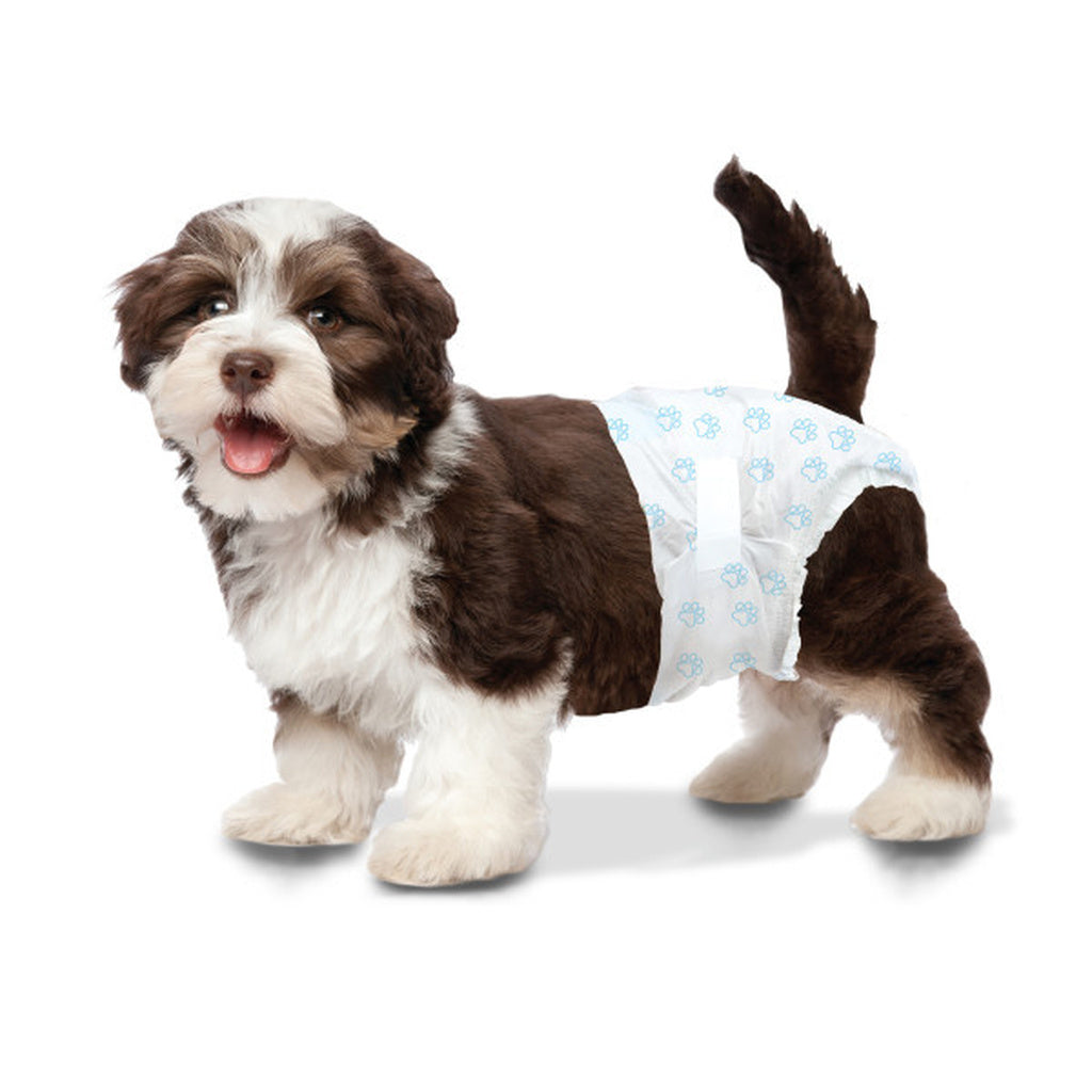 Four Paws Wee Wee Diapers for Dogs - 12 Pack - X-Small (Dogs 4-8 lbs with 10"-13"Waist)
