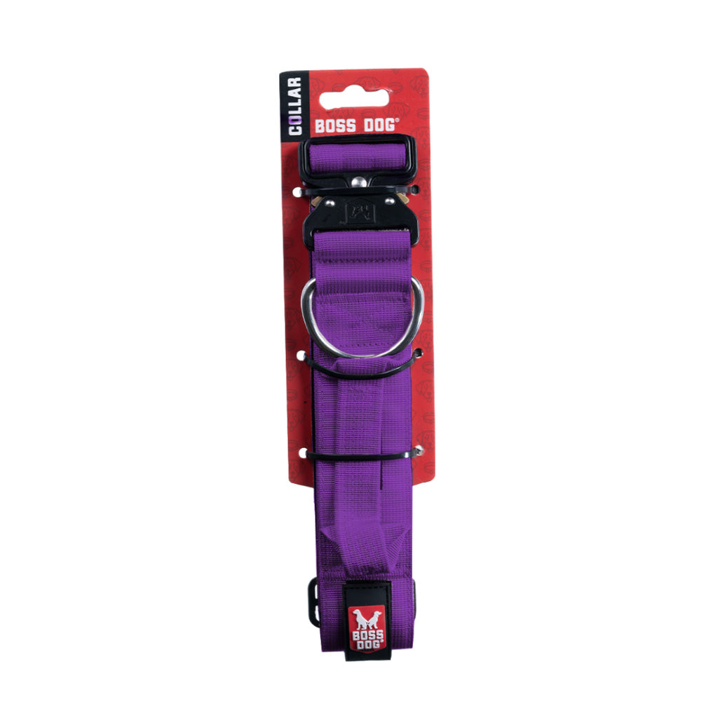 Large Purple Collar Boss Dog (1.5" wide): 17"-22"