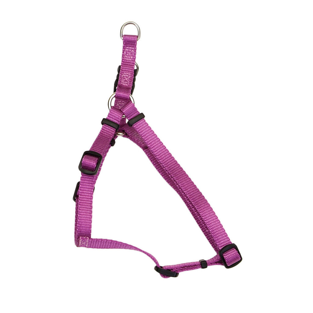 Coastal Comfort Wrap Adjustable Dog Harness 5/8" Wide 16-24"