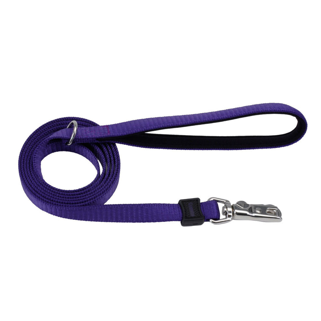 Coastal Inspire Dog Leash, 1 inch x 6 ft, Purple