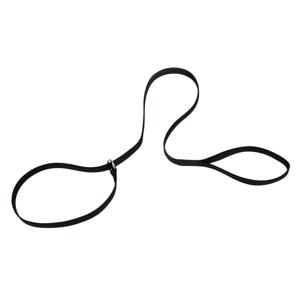 Coastal Kennel Dog Lead 6' x 5/8"