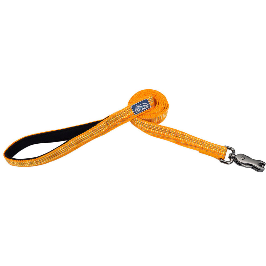 Coastal K9 Explorer Brights Reflective Dog Leash - Desert, 5/8 in x 6 ft