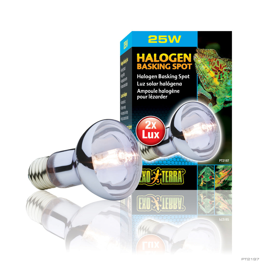 Exo Terra Sun Glo Basking Spot Lamp 25W
