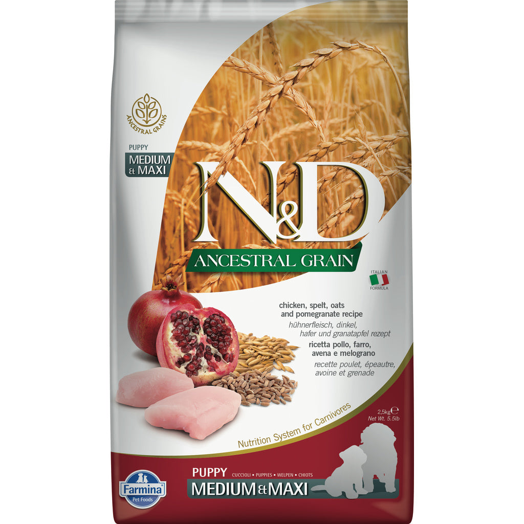 Farmina N&D Ancestral Grain Puppy Chicken & Pomegranate 5.5 lb, Medium/Maxi Breed, Dry Dog Food