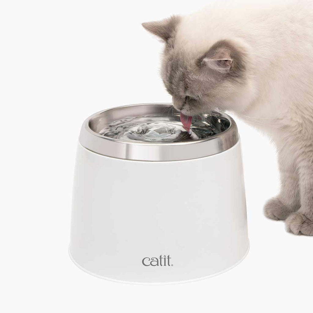 Catit Fresh & Clear Stainless Steel Cat Water Fountain, 2L