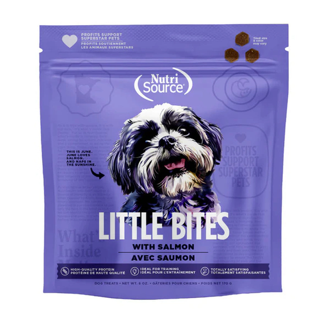 NutriSource Little Bites Salmon Dog Treats - 6 oz Bag - High Protein, Training Treats