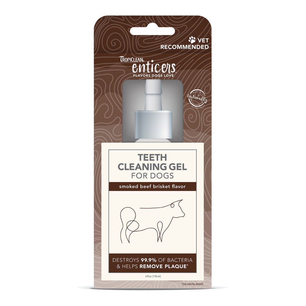 TropiClean Enticers Dog Teeth Cleaning Gel - Smoked Beef Brisket Flavor - 4 oz
