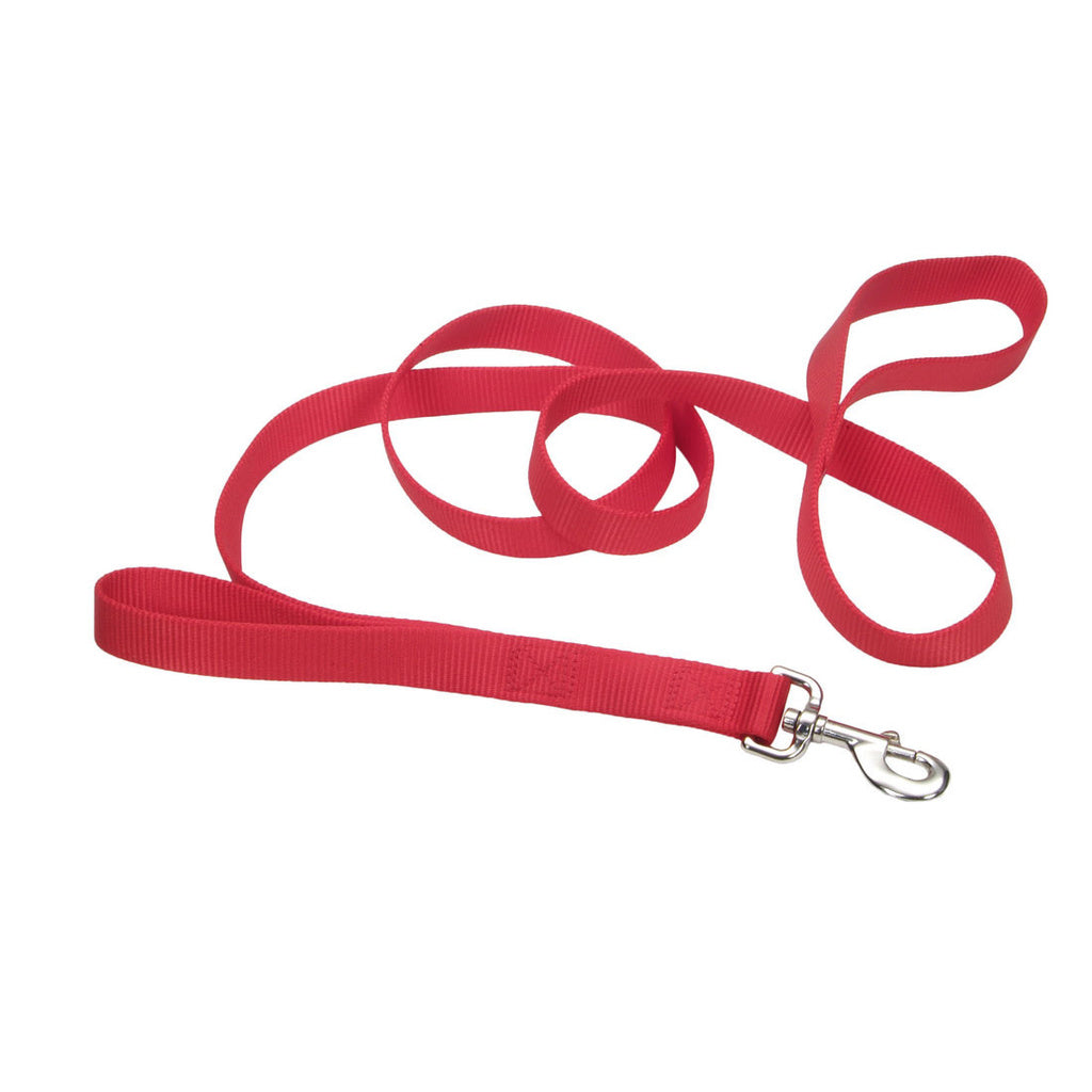 Coastal Loops 2 Double Handle Dog Leash, Red, 1" x 6' Nylon Lead