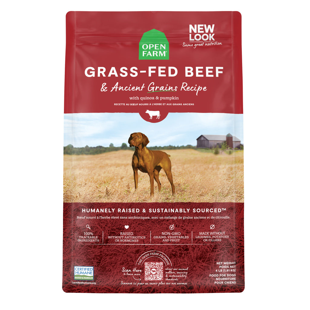Open Farm Dog Food Ancient Grain Beef Recipe, 22 lb Bag