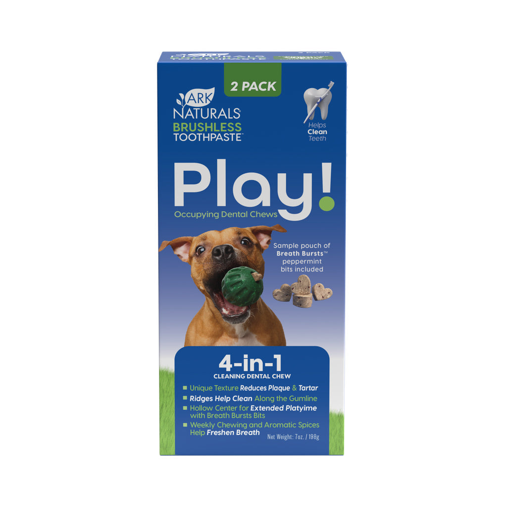 Brushless Toothpaste Play 4-in-1 Cleaning Dental Dog Chew - Pack of 2