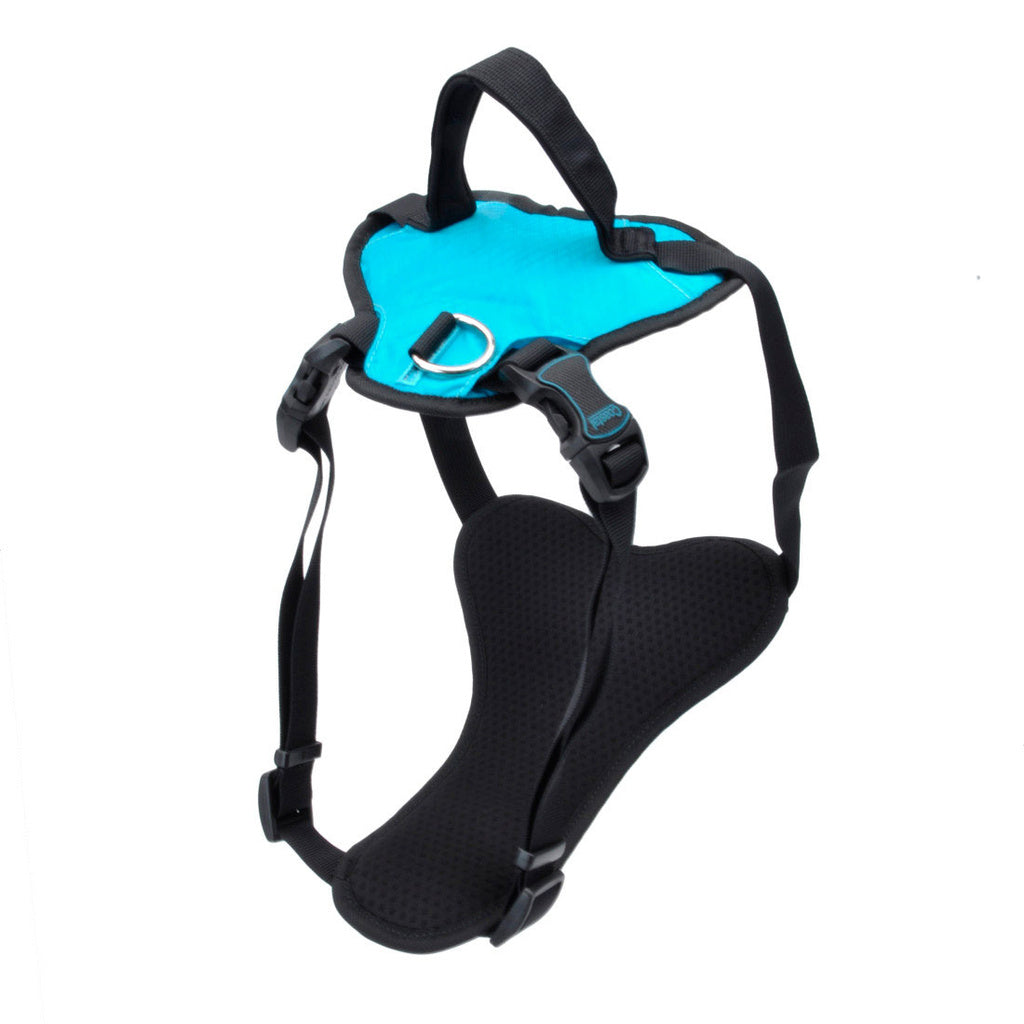 Coastal Inspire Dog Harness - Aqua - 5/8" x 16"-24"