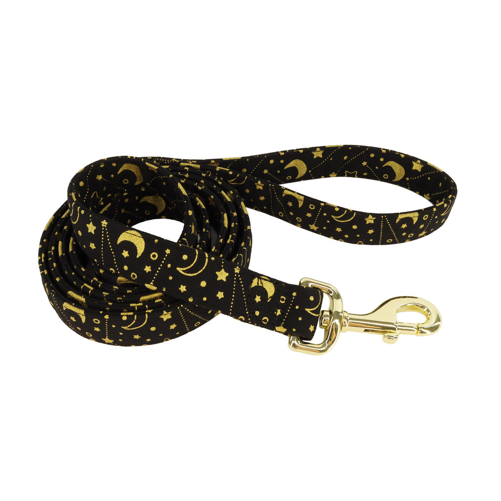 Accent Metallic Dog Leash - Bright Black Galaxy, 6ft Sparkly Leash