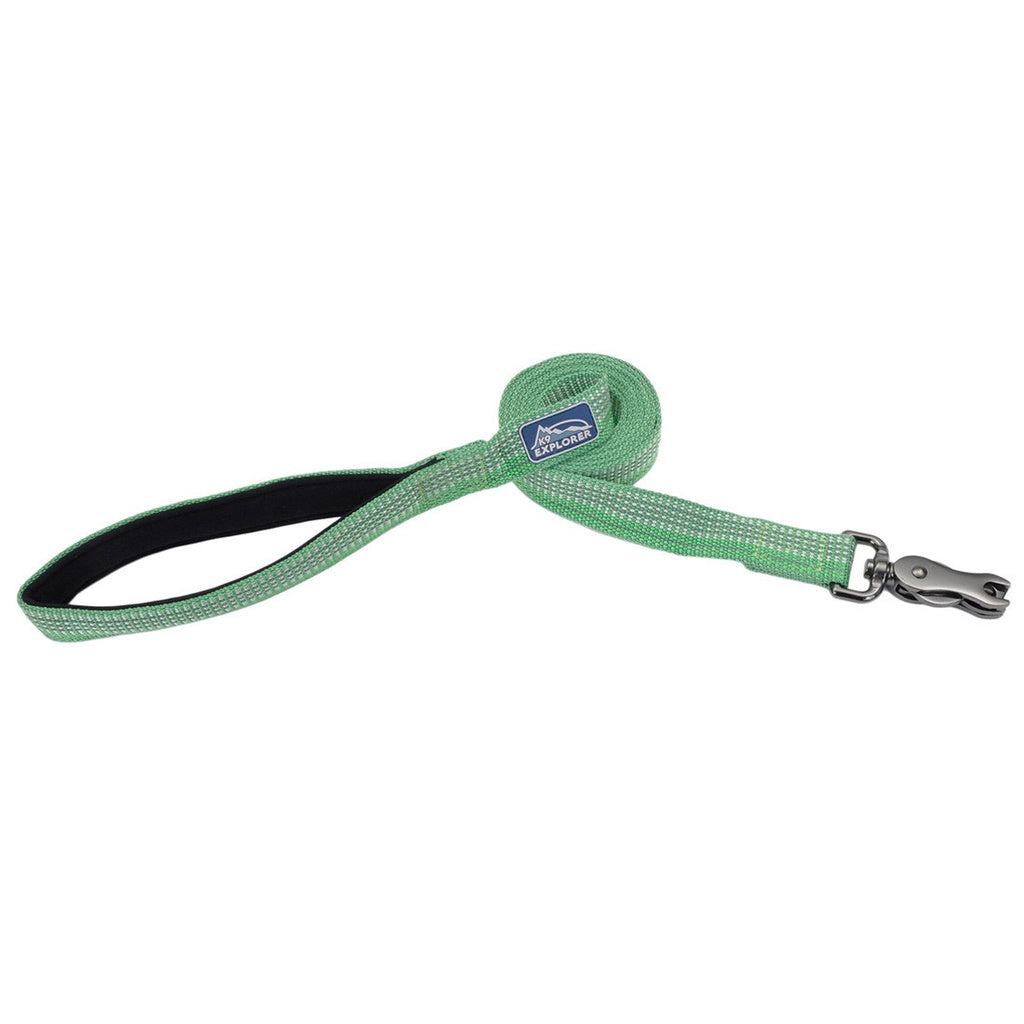 Coastal K9 Explorer Reflective Dog Leash - Meadow - 5/8" x 6'