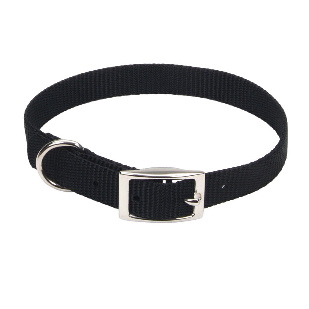 Coastal Pet Nylon Dog Collar, Black, 3/8 in x 10 in, Single Ply