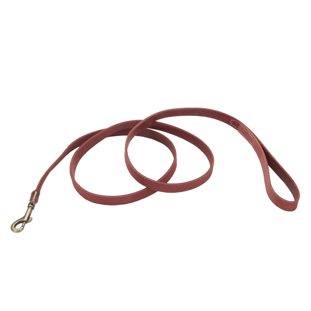 Coastal Pet Circle T Rustic Leather Dog Leash 1" x 4' - Brick Red