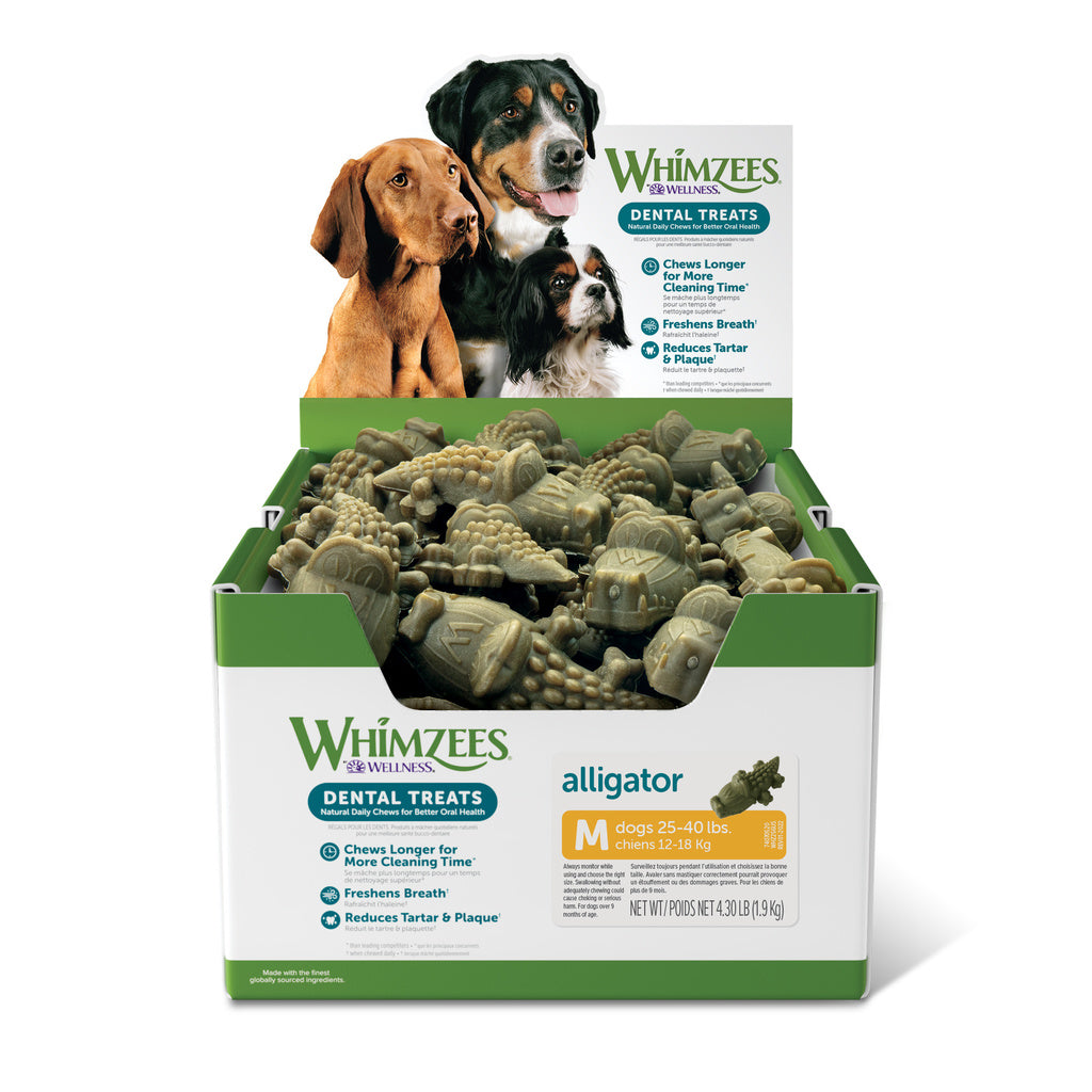 Whimzees Alligator Medium Dental Dog Treat - Single Chew