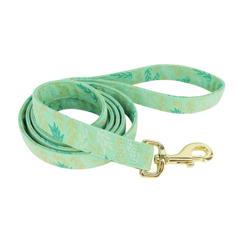 Coastal Accent Dog Leash - Metallic Design, Medium/Large, 1" x 6'