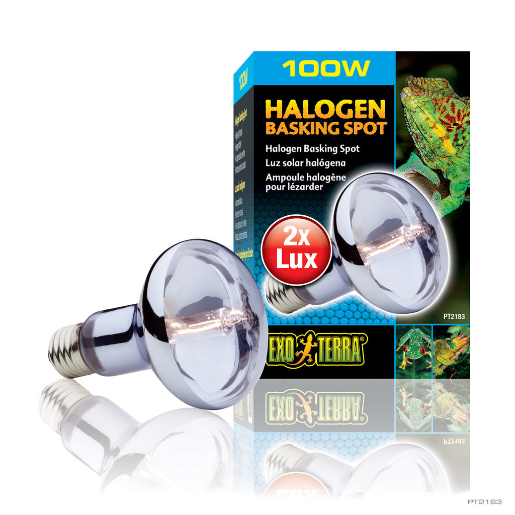 Exo Terra Sun-Glo Halogen Basking Spot Lamp - 100W - PT2183 - Reptile Heat Bulb