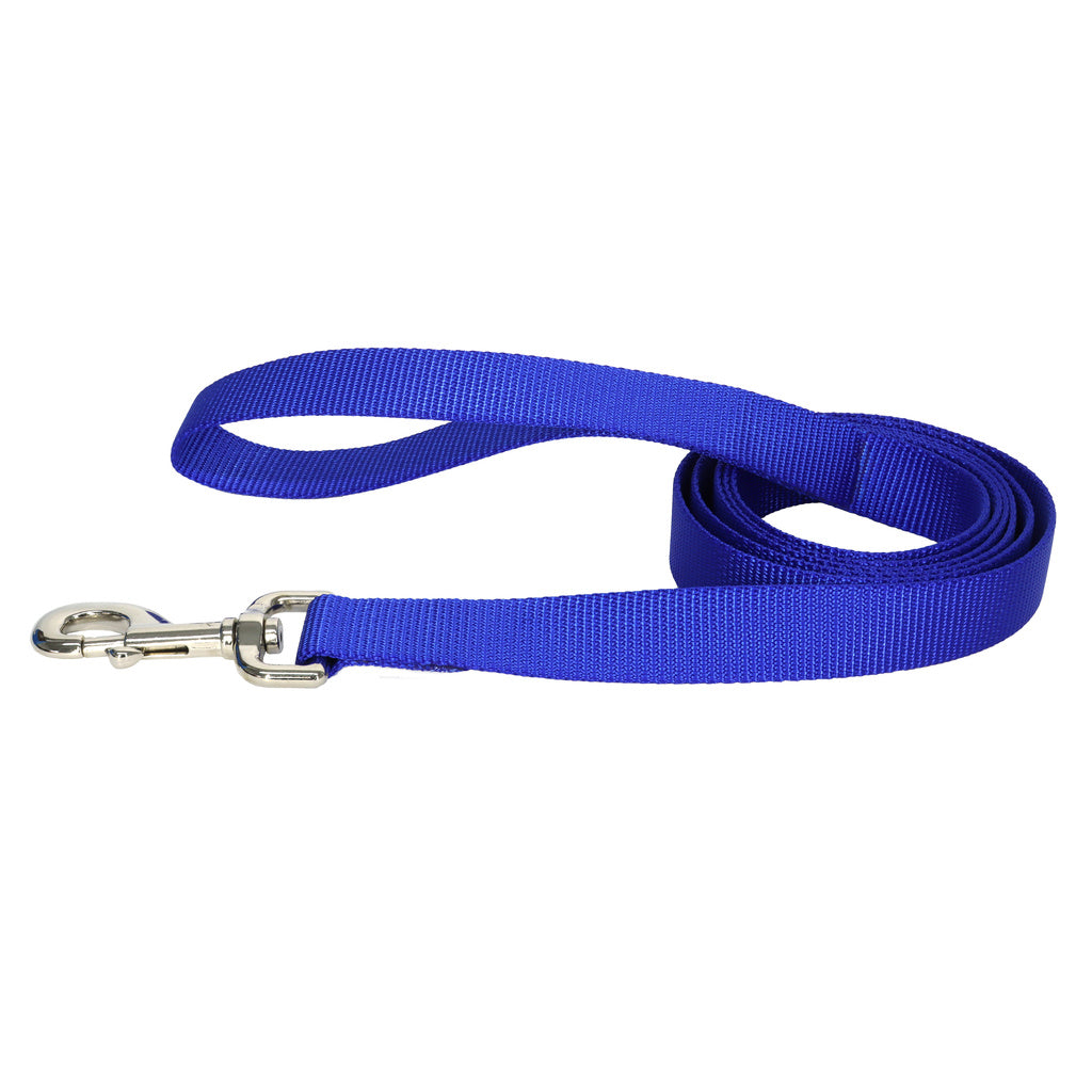 Coastal Single-Ply Nylon Dog Leash - Blue - 1 inch x 6 ft